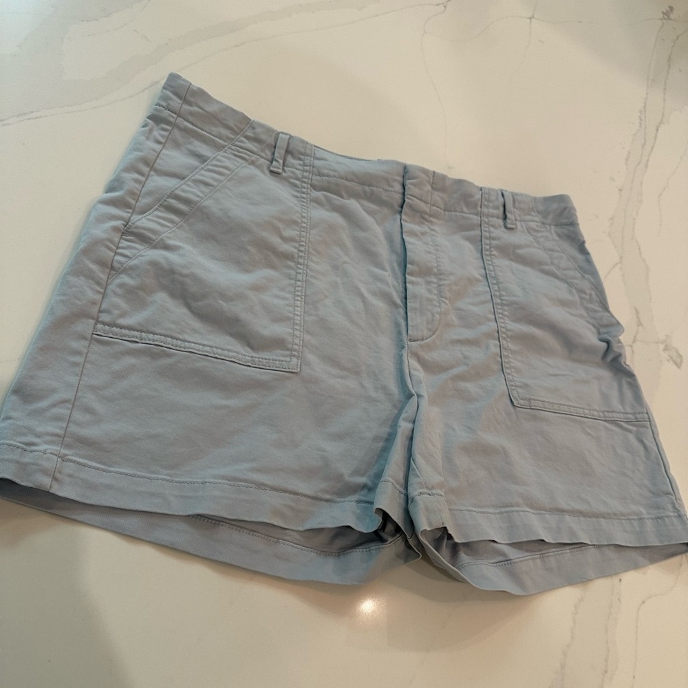 Banana Republic Sky Blue Chino Shorts